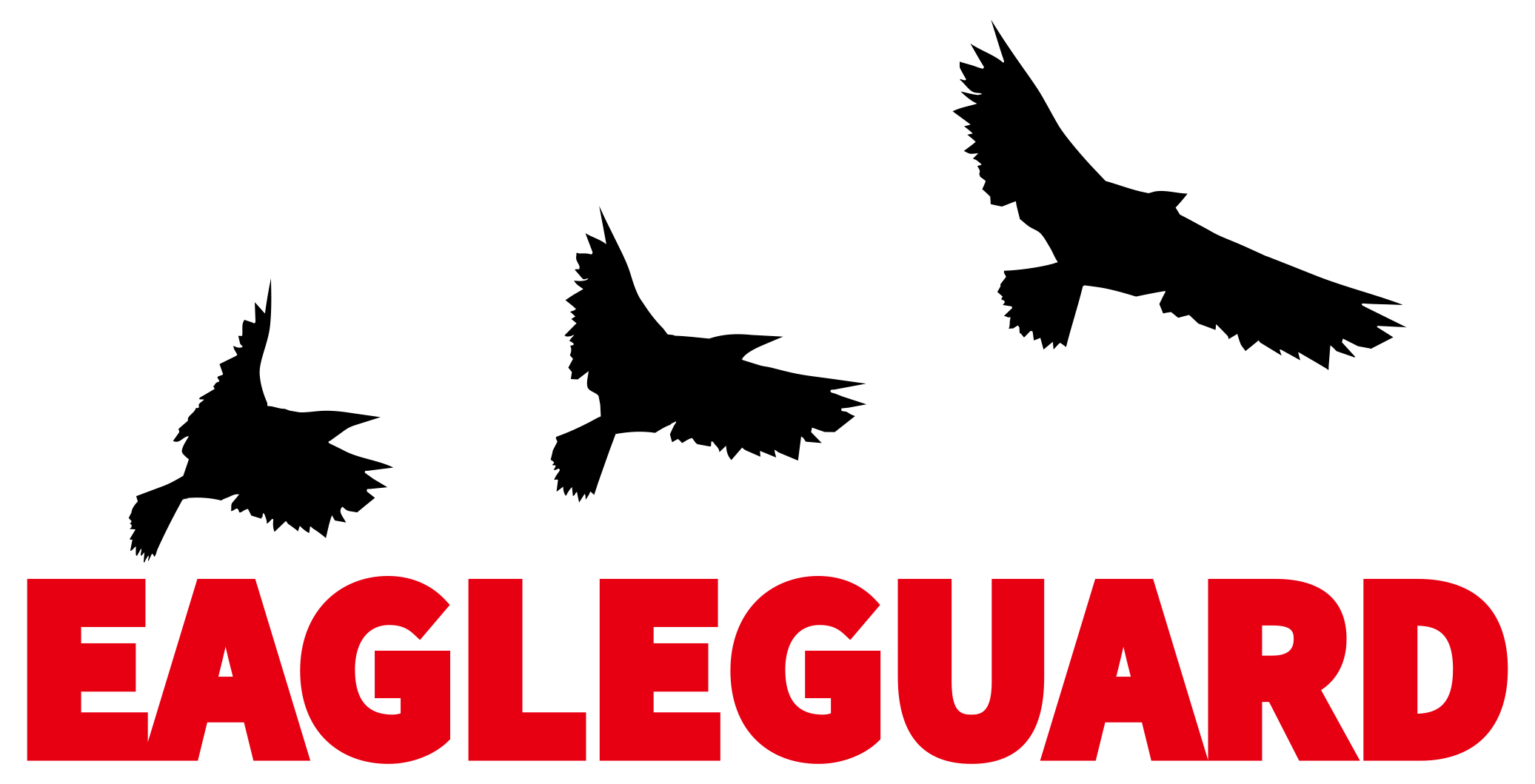 EagleGuard Logo